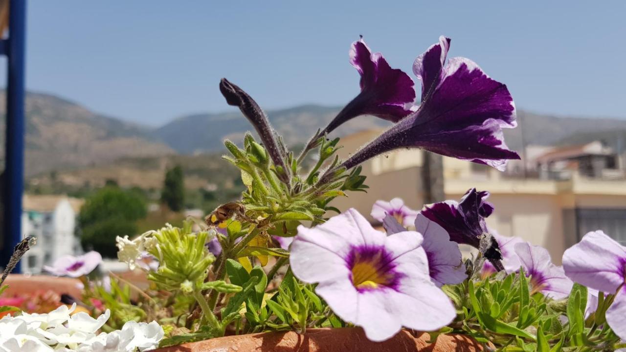 Posada Alpujarra Sol Orgiva Ngoại thất bức ảnh